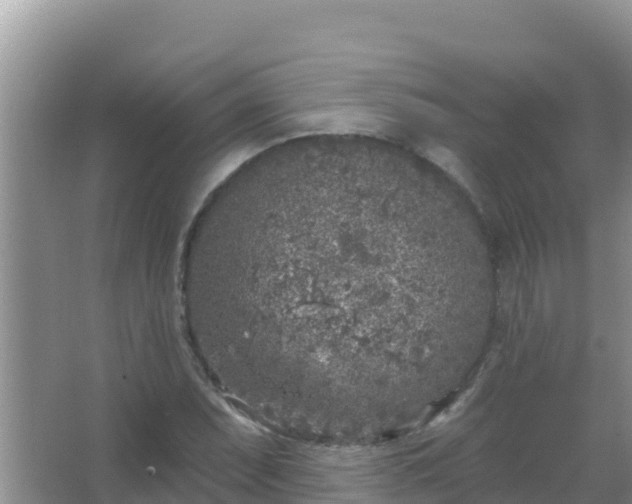 X0000067491071200604150036