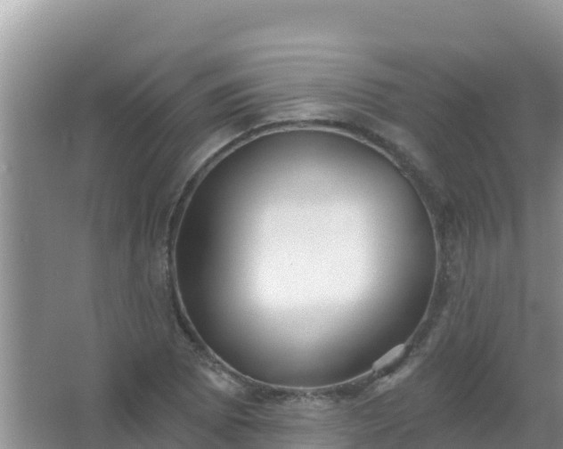 X0000067491073200604150036