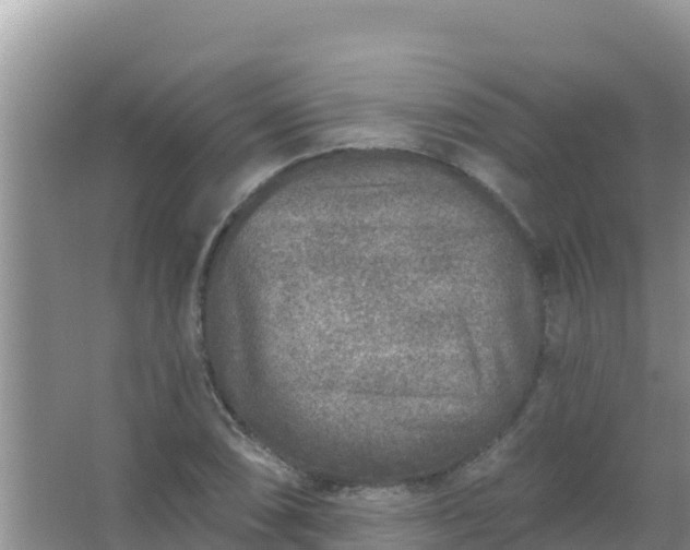 X0000067491074200604150036