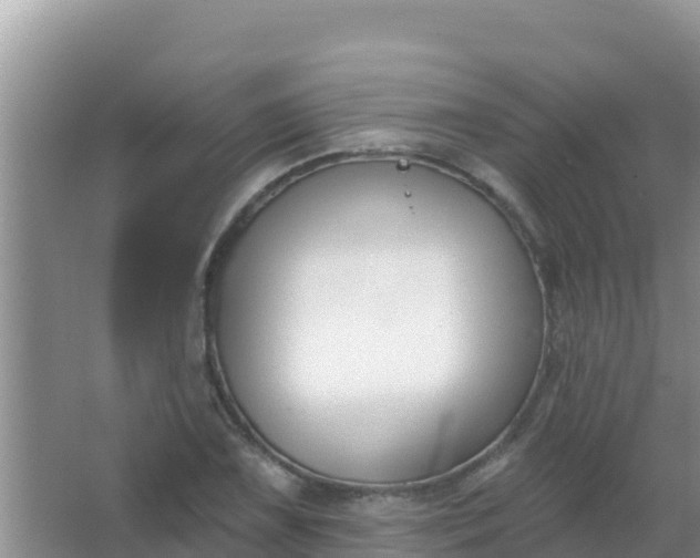 X0000067491075200604150036