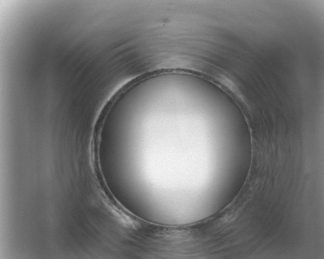 X0000067491076200604150036