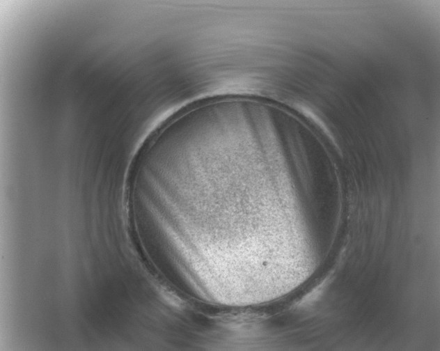 X0000067491077200604150036