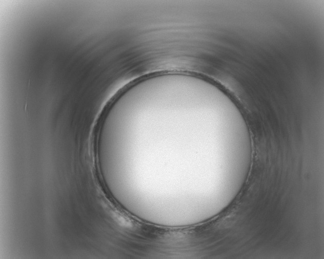 X0000067491078200604150036