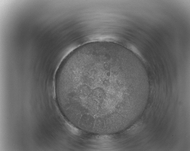 X0000067491079200604150036