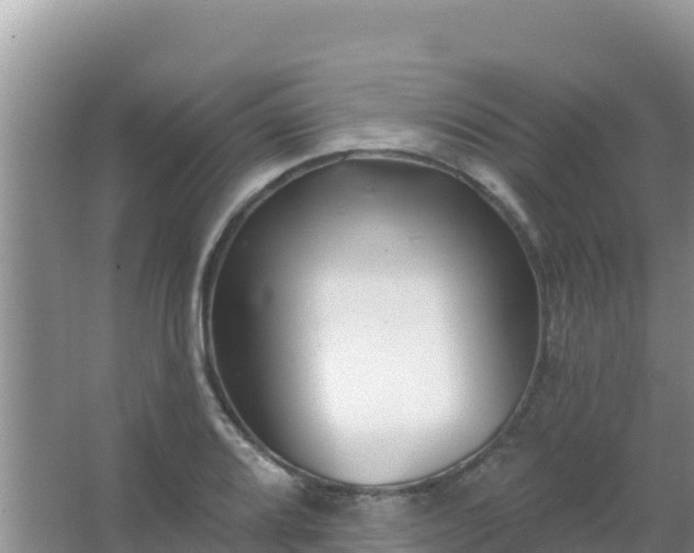 X0000067491080200604150036