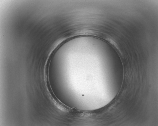 X0000067491082200604150036