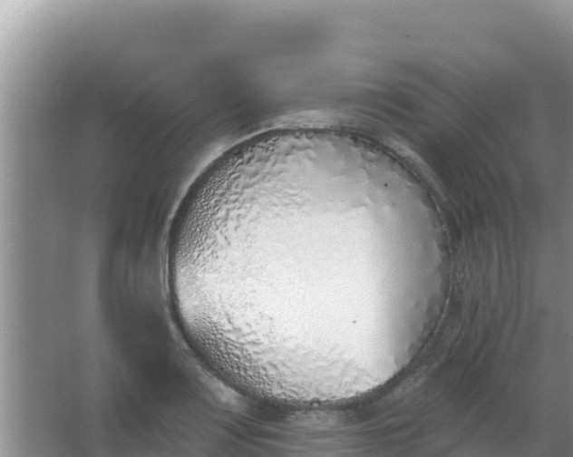 X0000067491083200604150036