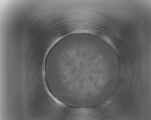 X0000067491084200604150036