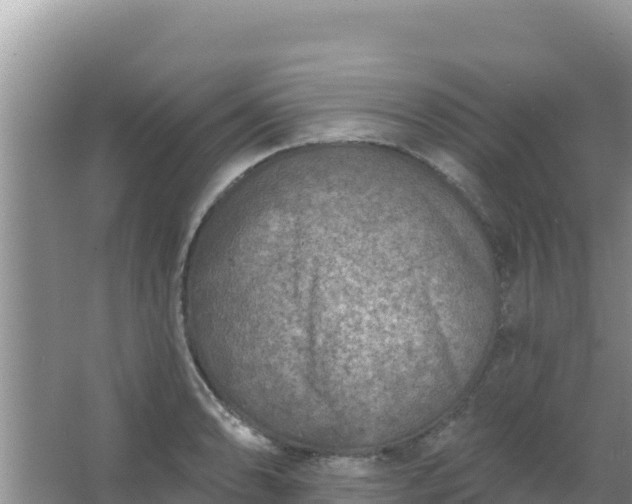 X0000067491086200604150036