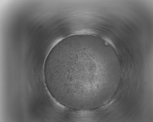 X0000067491087200604150036