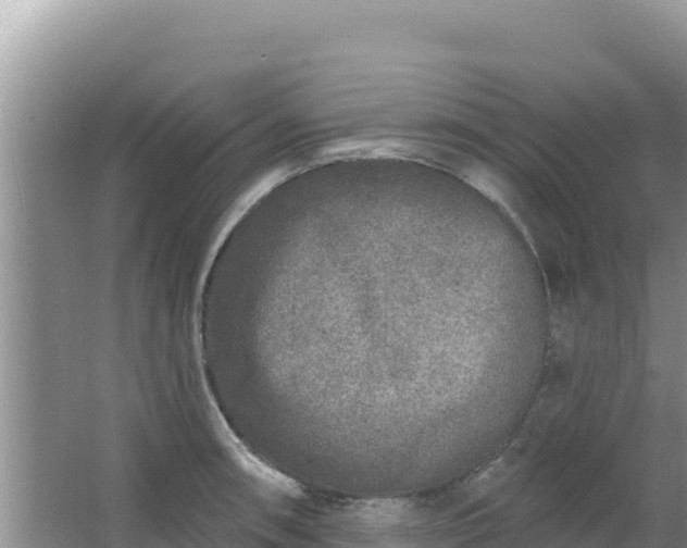 X0000067491090200604150035