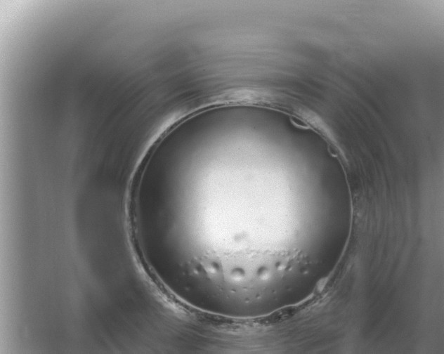 X0000067491091200604150035