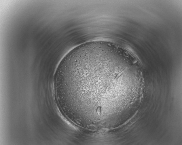 X0000067491092200604150035