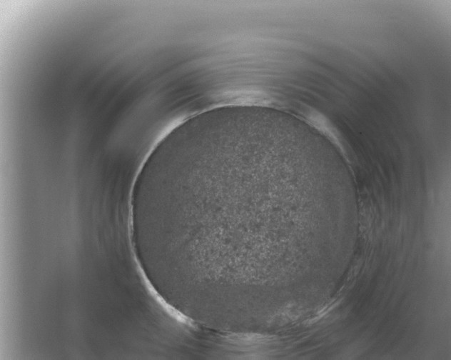 X0000067491095200604150035