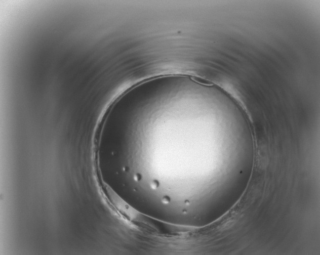 X0000067491096200604150035