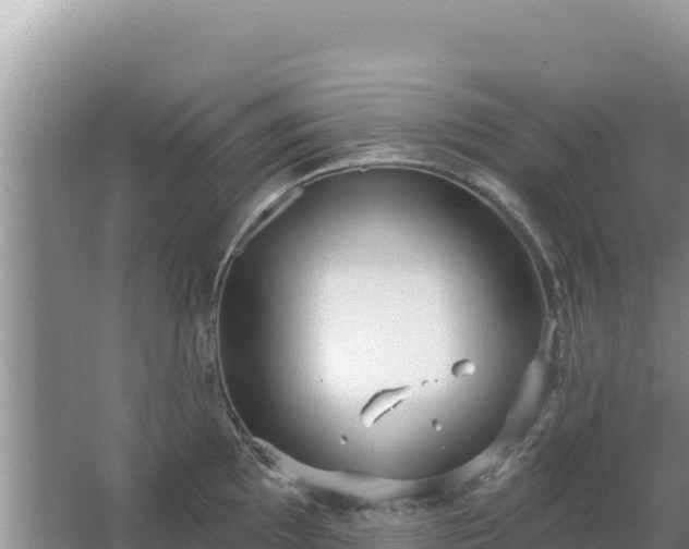 X0000067491097200604150035