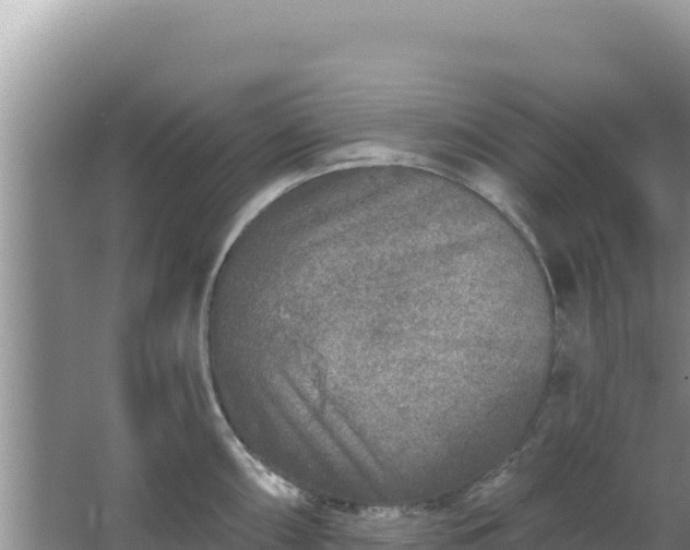 X0000067491098200604150035