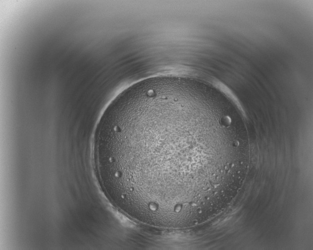 X0000067491099200604150035