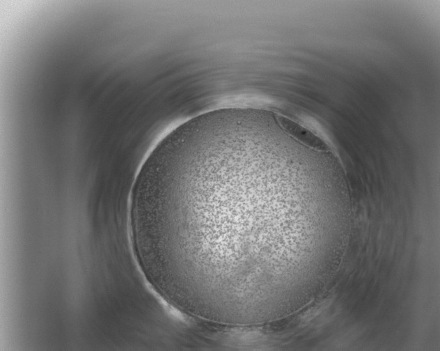 X0000067491103200604150035