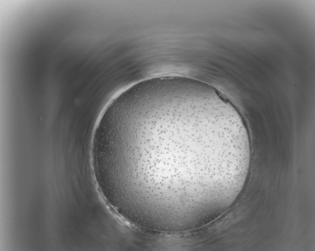 X0000067491104200604150035