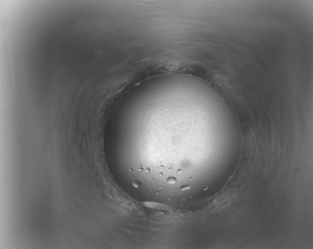 X0000067491105200604150034