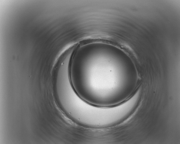 X0000067491114200604150035