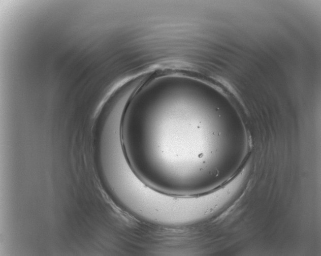 X0000067491115200604150035