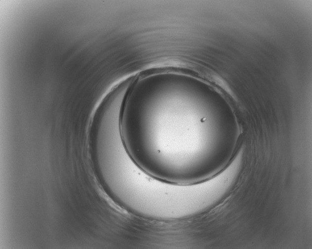 X0000067491116200604150035