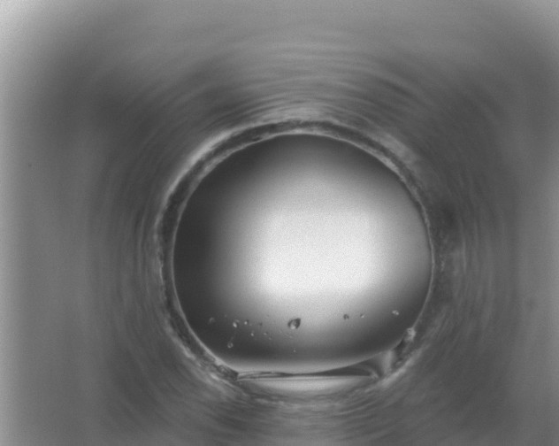 X0000067491118200604150035