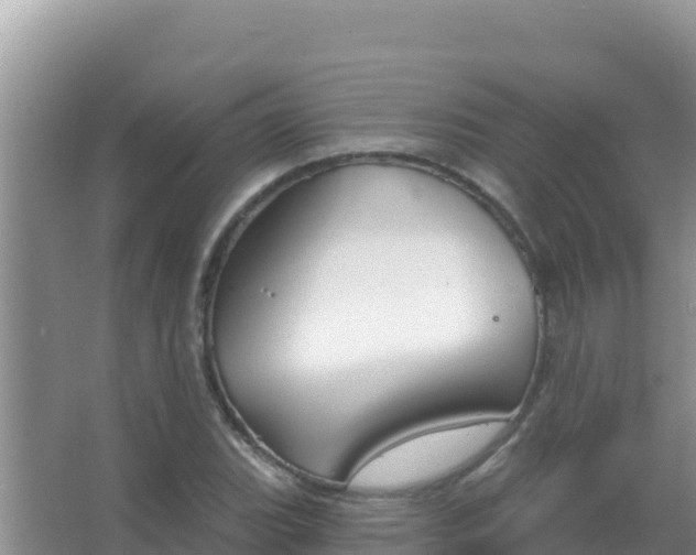 X0000067491119200604150035