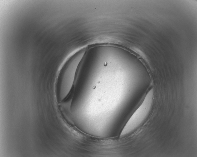 X0000067491120200604150035