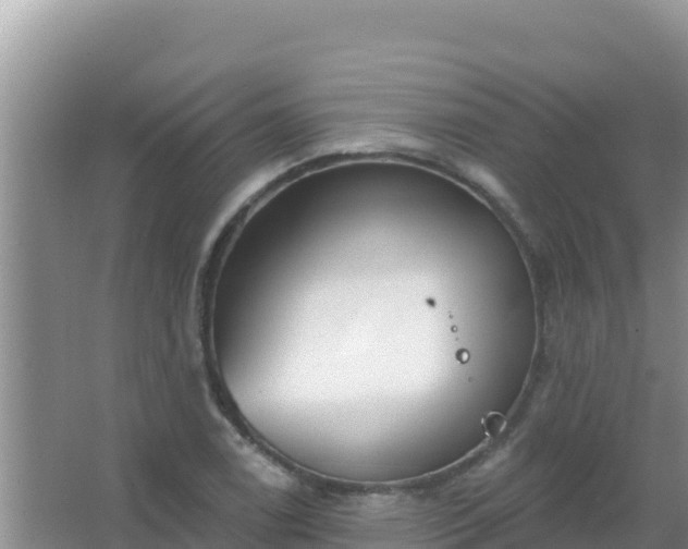 X0000067491122200604150035