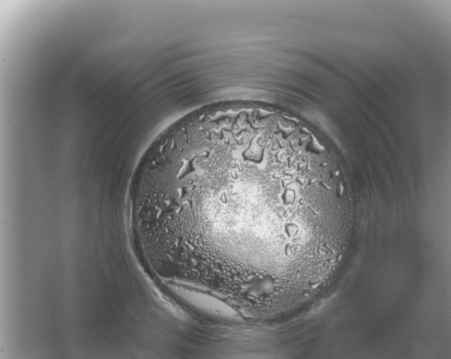 X0000067491125200604150035