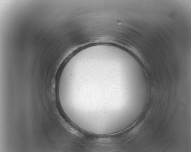 X0000067491126200604150035