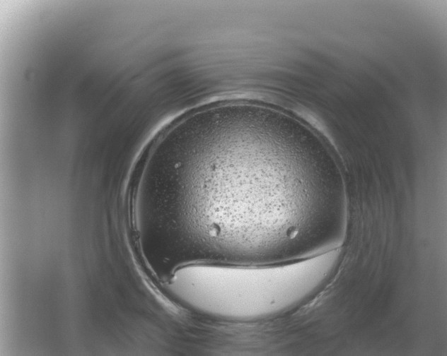 X0000067491127200604150035