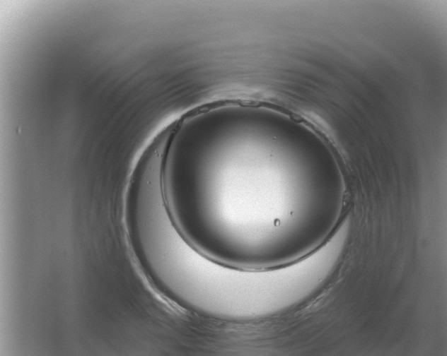 X0000067491128200604150035