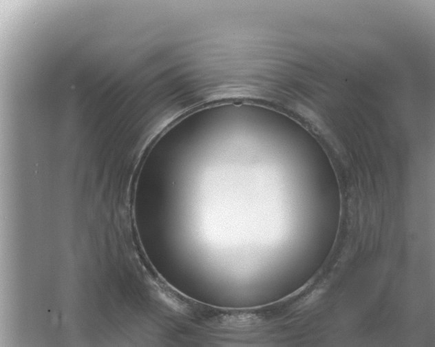 X0000067491129200604150035