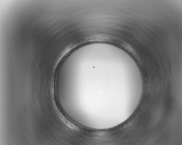 X0000067491130200604150035