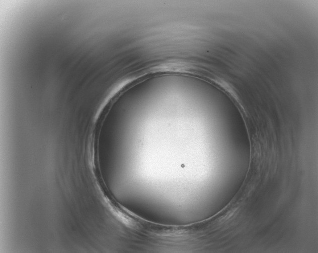 X0000067491131200604150035