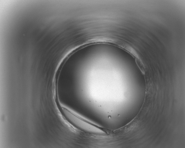 X0000067491132200604150035