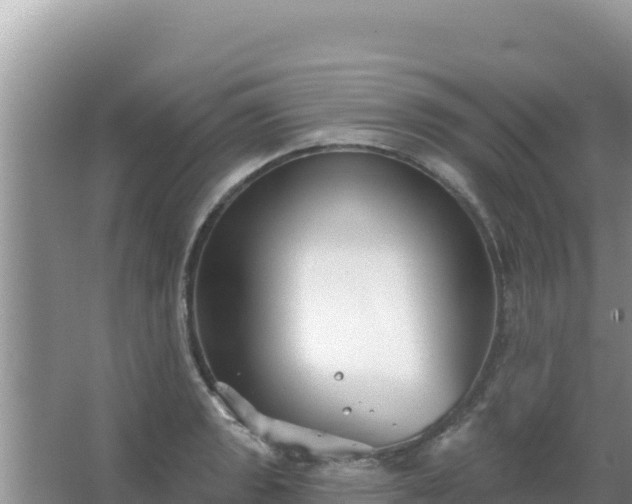 X0000067491133200604150035