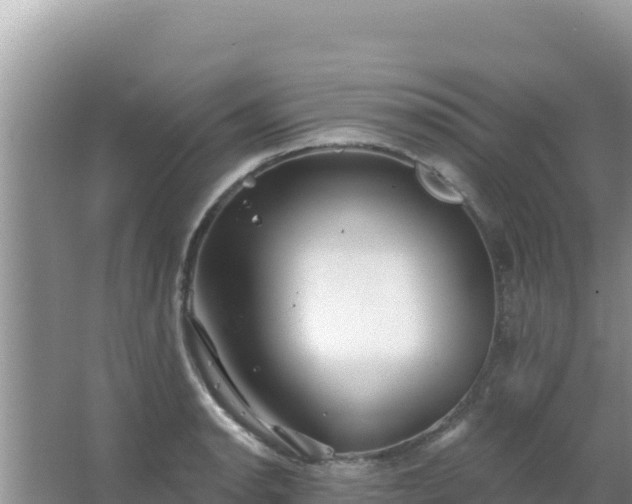 X0000067491134200604150035