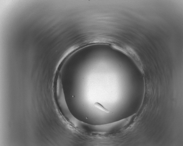 X0000067491138200604150035