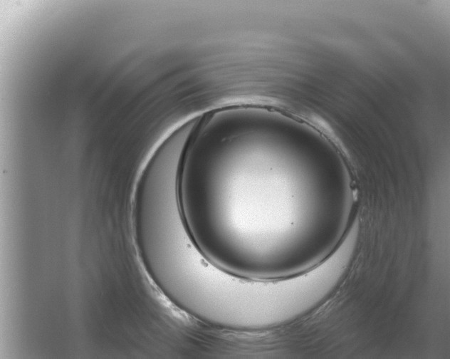 X0000067491140200604150035