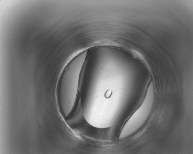 X0000067491141200604150035