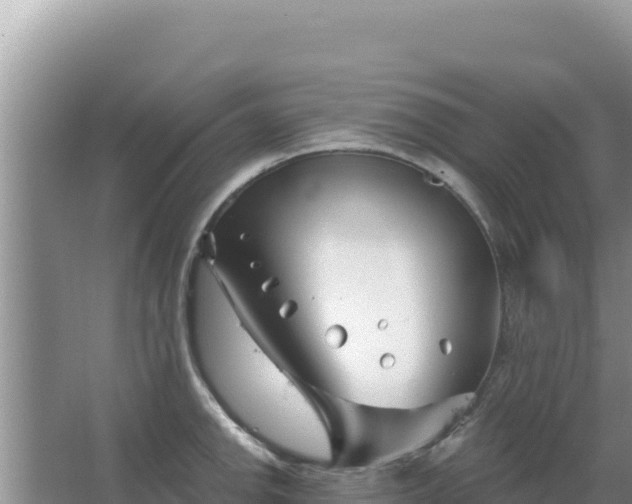 X0000067491142200604150035