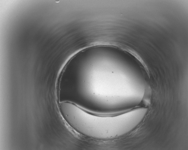 X0000067491148200604150035