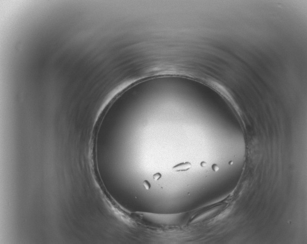 X0000067491149200604150035