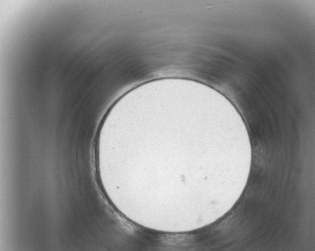 X0000067491150200604150035