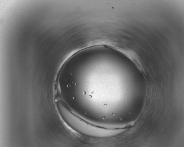 X0000067491151200604150035